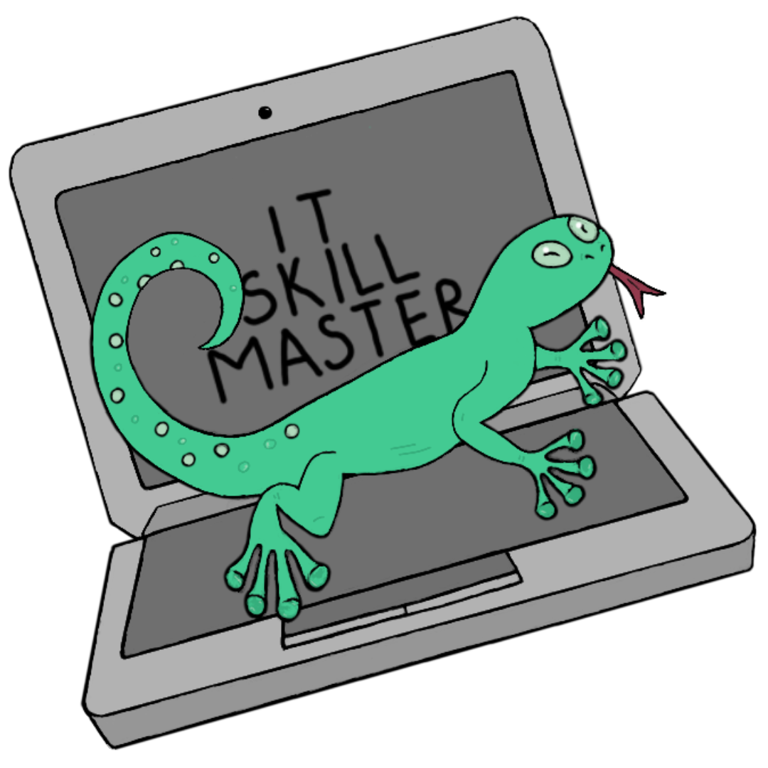 IT Skill Master
